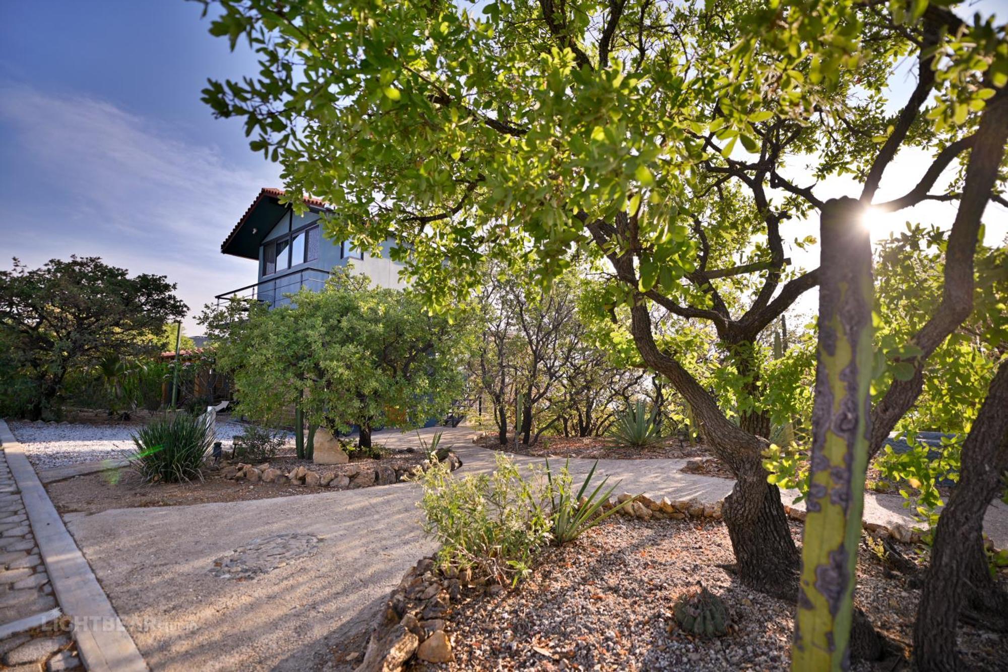 Utopia Casas Boutique Oaxaca المظهر الخارجي الصورة